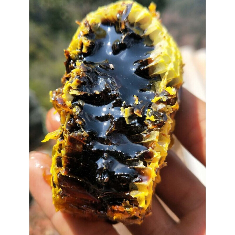 云南黑蜂蜜多少钱一斤是正品(云南黑蜂蜜是真的吗)